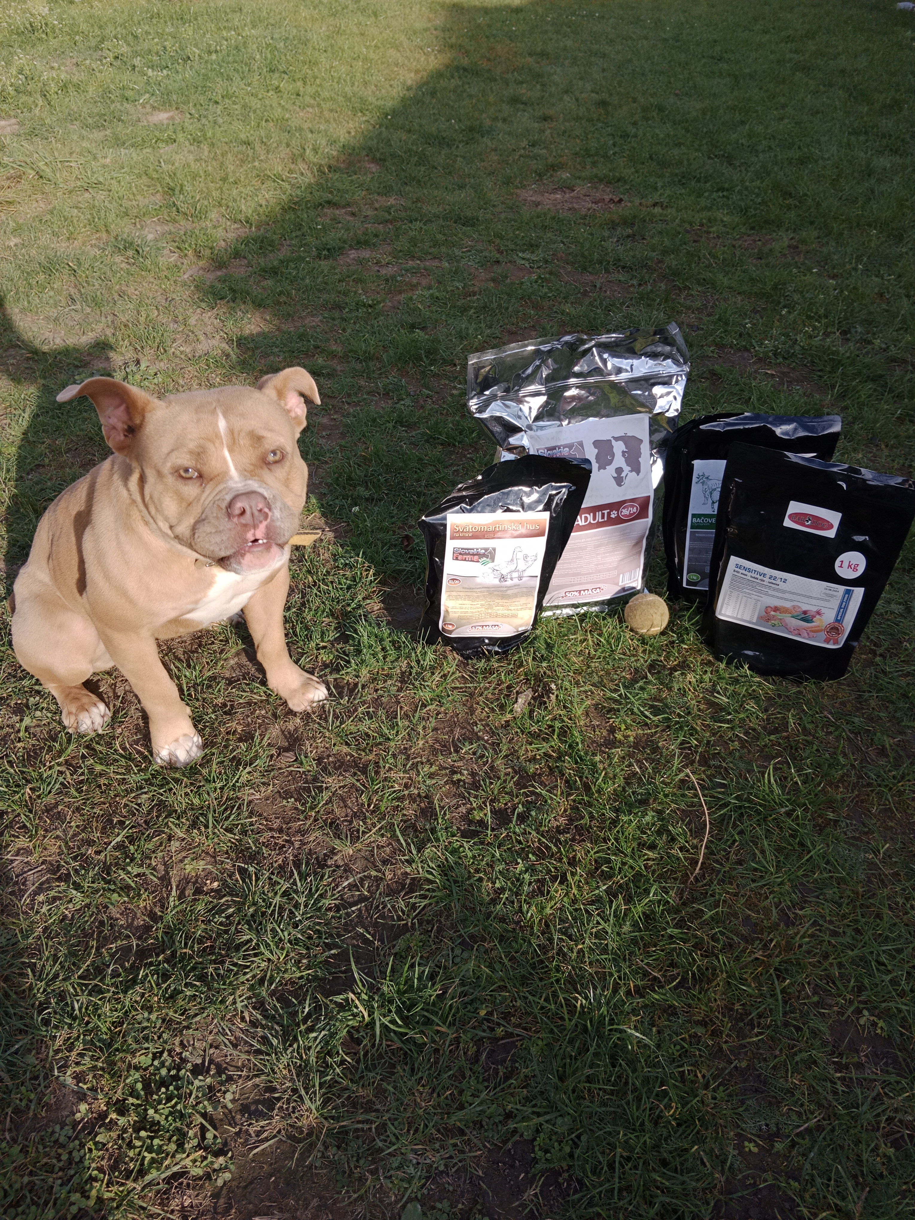 [RECENZE] Granule Bardog – vyzkoušeli jsme je!